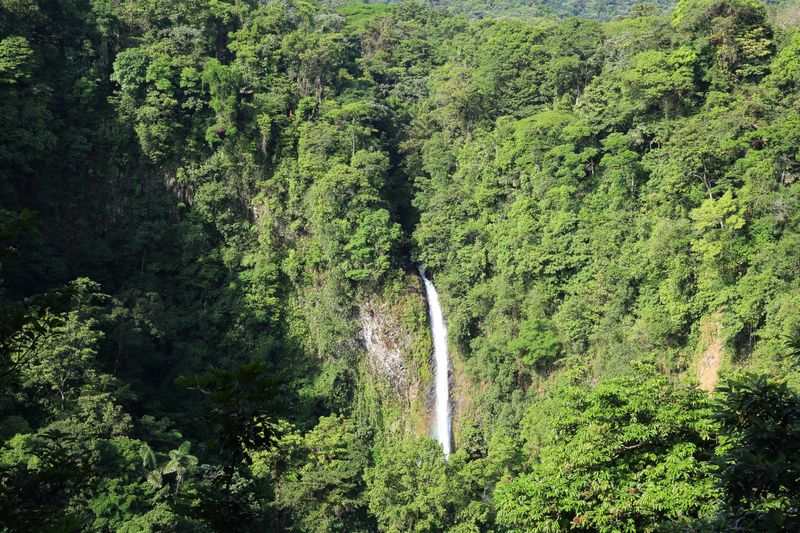 Fortuna falls