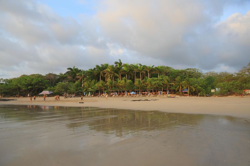 Playa Avellanas LoLa's