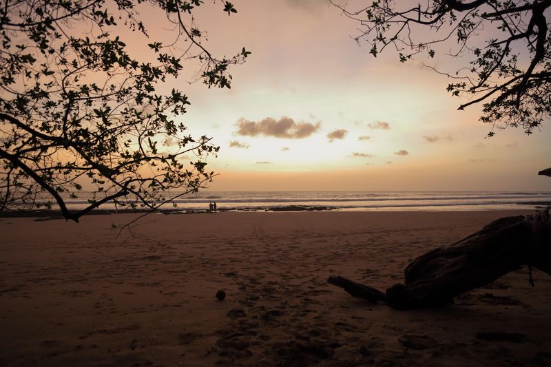 sunset Playa Avellanas