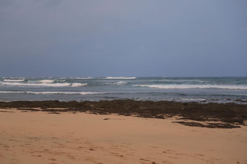 Playa Avellanas