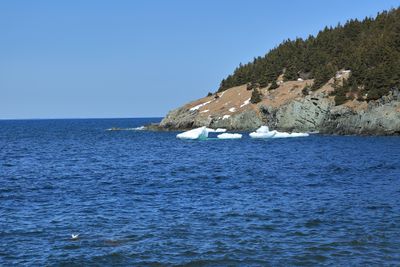 3B0A5981.JPG