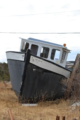 NEWFOUNDLAND BOATS