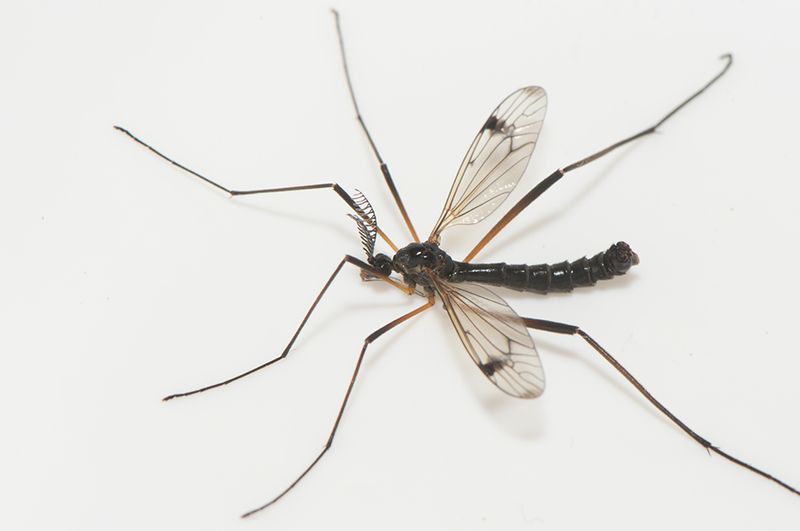 Hagns camping Halland 20.6-22