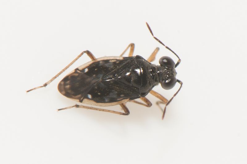 Ottersjn Halland 9.2-22