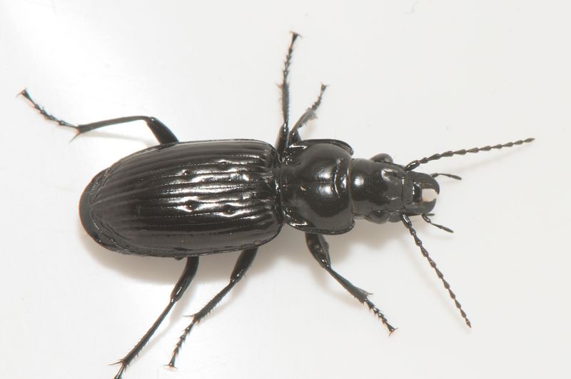 Tkern stergtland 29.11-22