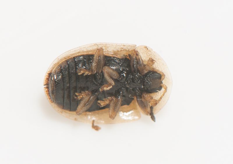 Sbytorp Vstmanland 27.6-22