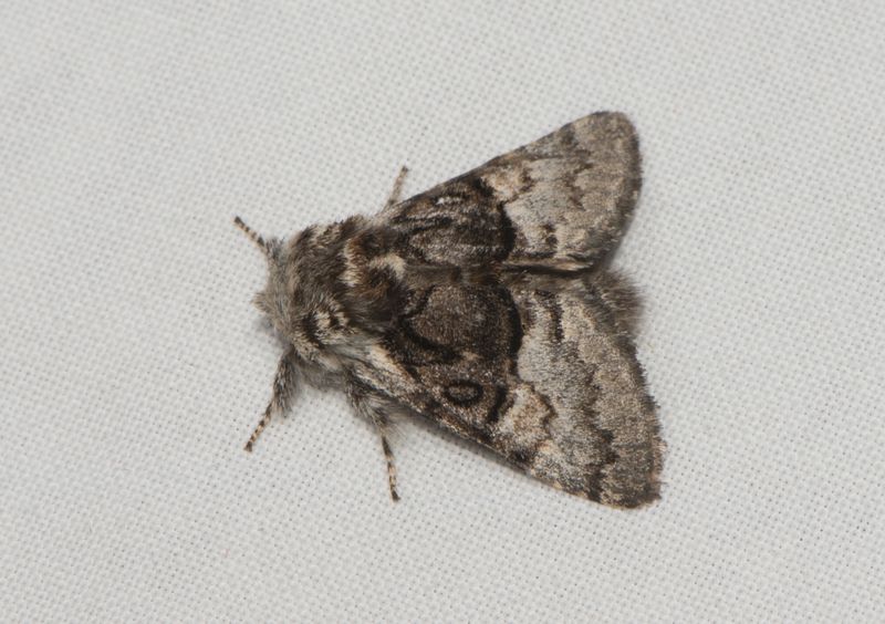 Sbytorp Vstmanland 22.5-23