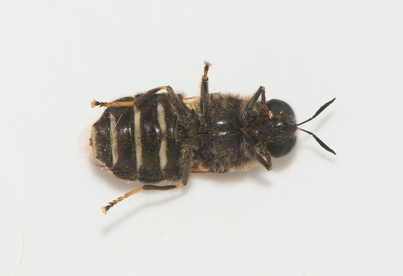 Holmagrde Halland 27.5-23