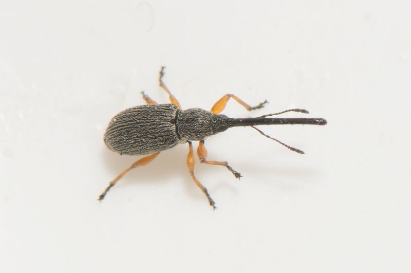 Station Linne land 7.6-23