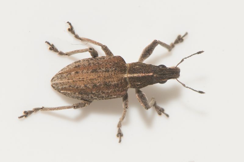 Nackhlle Halland 4.9-22