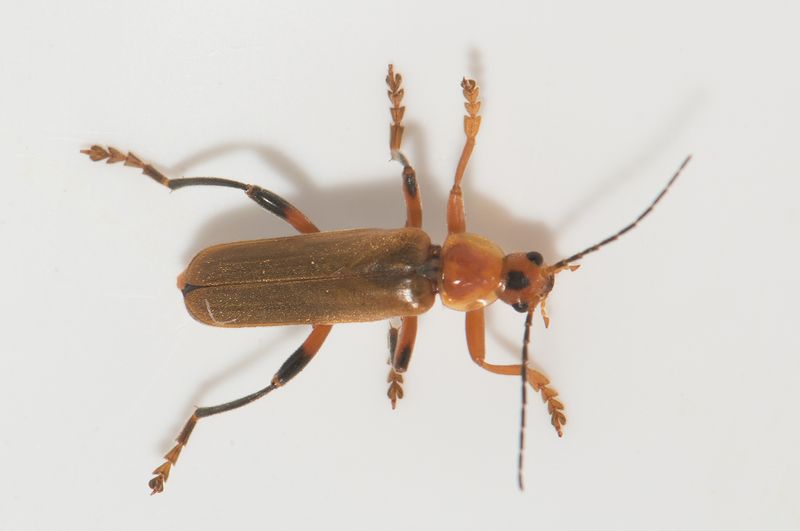 Grunnarp Halland 7.6-22