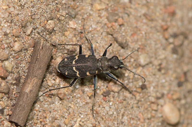 Haverdal Halland 13.8-22