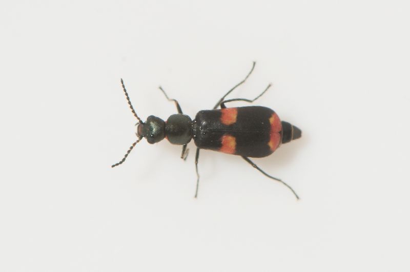 Sbytorp Vstmanland 27.6-22