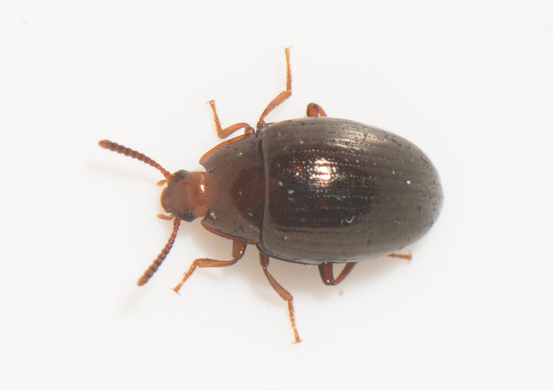 Grunnarp Halland 7.6-22