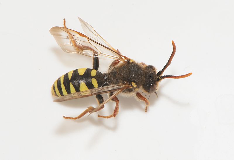 Tjrby Halland 25.4-23