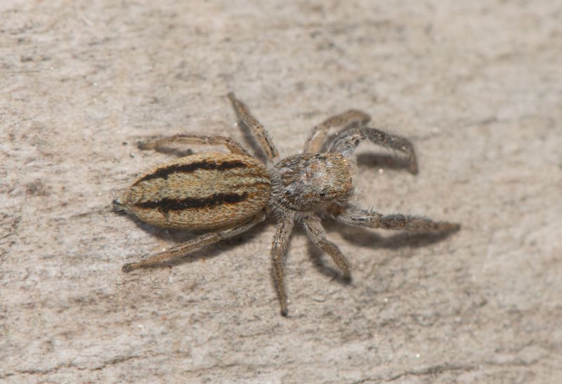 Vargslttsvgen Vstmanland 26.5-23