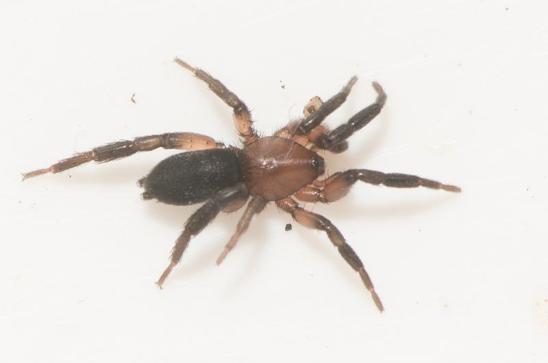 Heden Hamra Halland 22.8-23