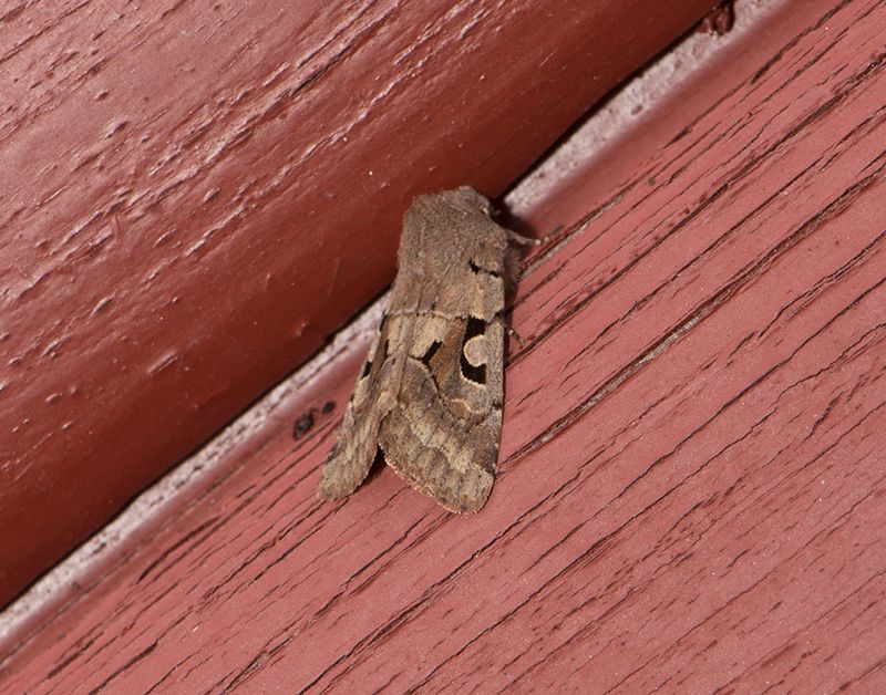 Hyltan Halland 15.4-23