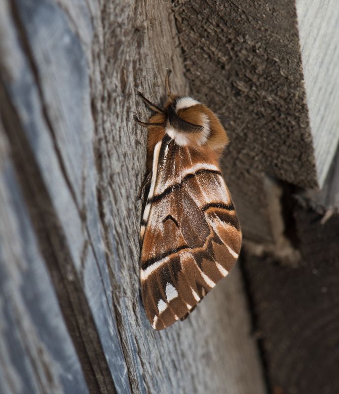 Krramosse Halland 21.4-22