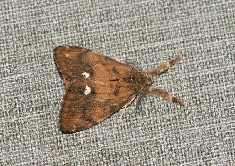 Tjrby grustag Halland 24.7-22