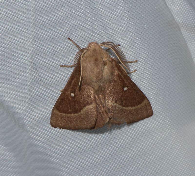 Haverdal Halland 13.8-22