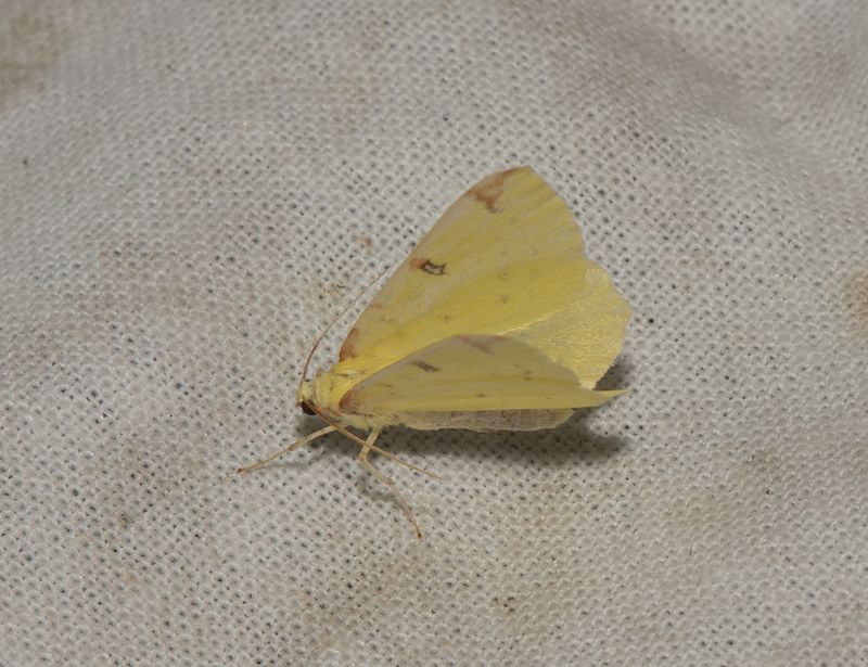 Fjrs brcka Halland 17.6-23