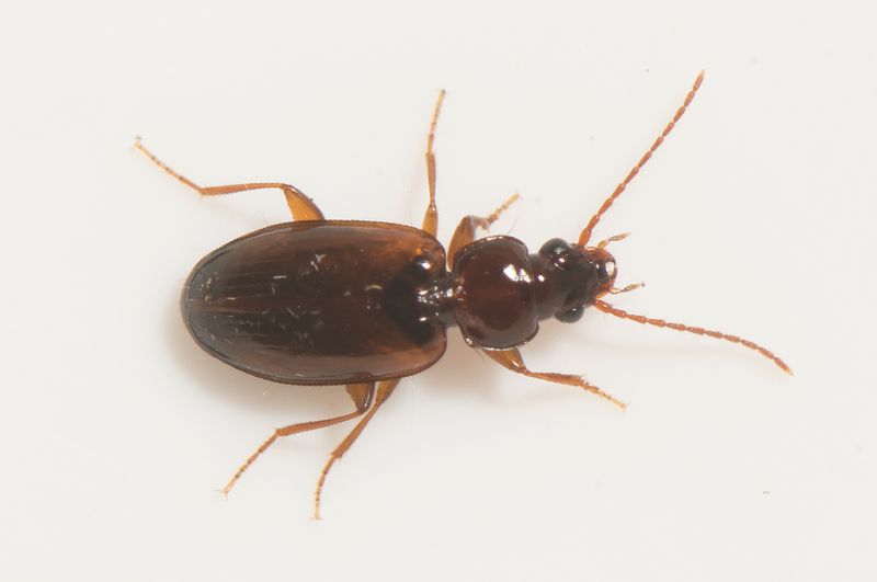 Fjrs brcka Halland 10.7-23