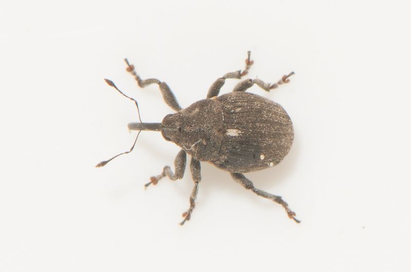 Sbytorp Vstmanland 22.5-23