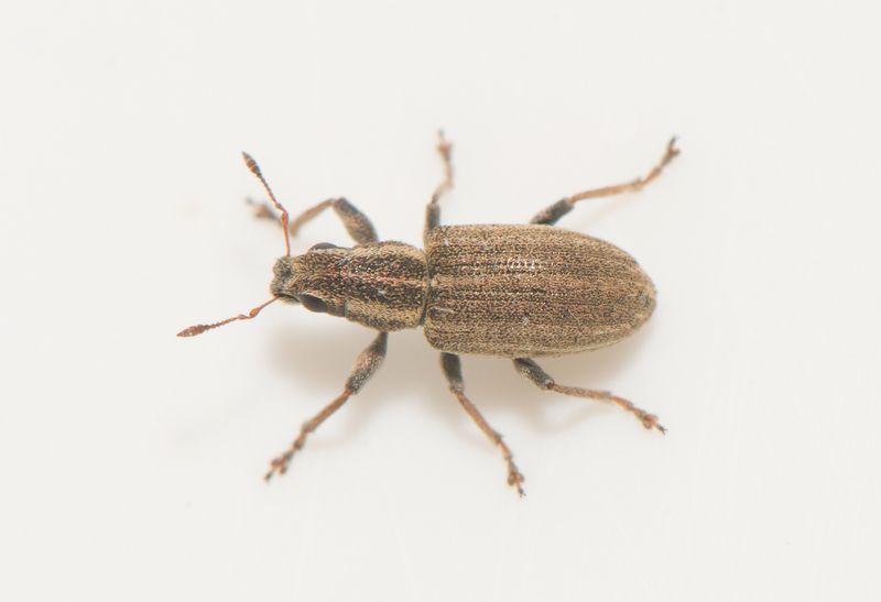 Sbytorp Vstmanland 5.8-22