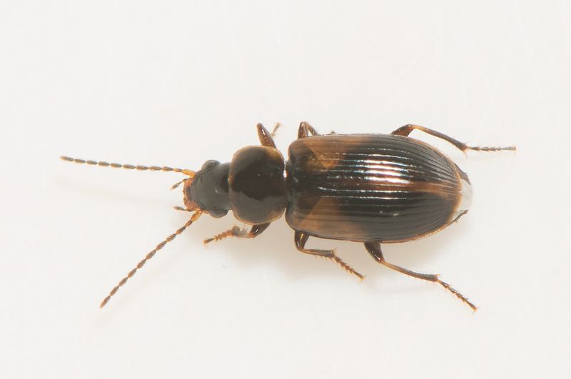 Tjrby Halland 13.4-24