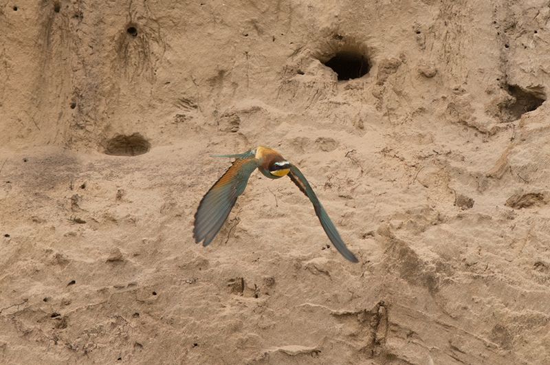 Maglehem Skne 16.7-24