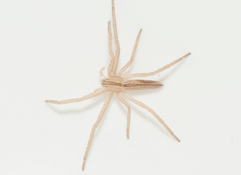 Mellbystrand Halland 19.2-24