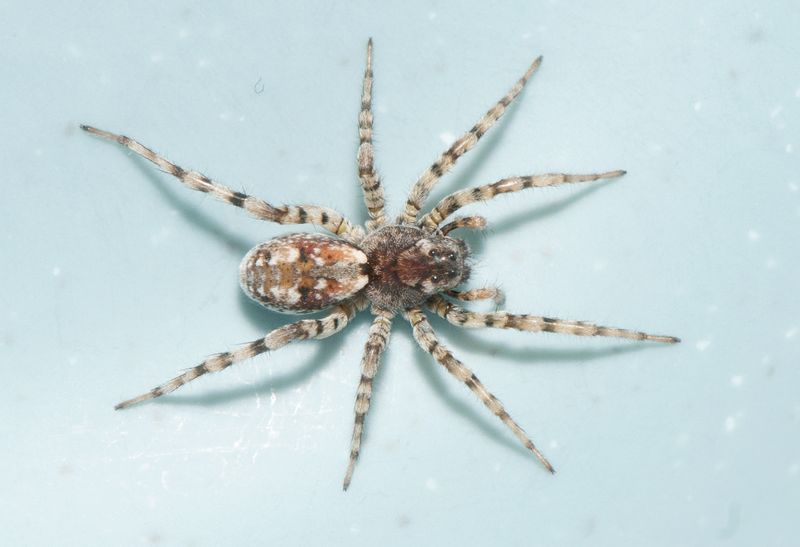 Mellbystrand Halland 17.2-24