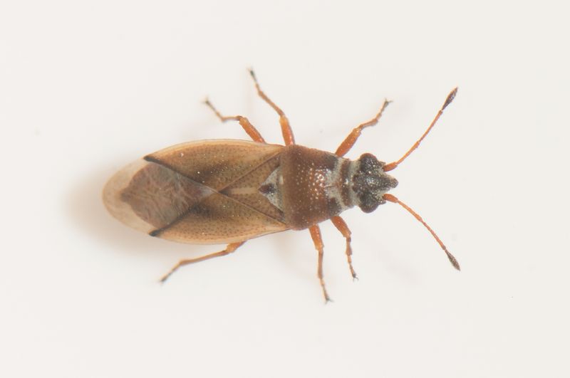 Holmagrde Halland 18.8-24