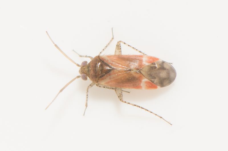 Nackhlle Halland 16.7-23