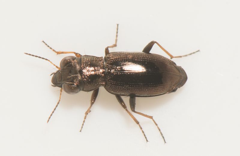 Hjrne Halland 27.4-24