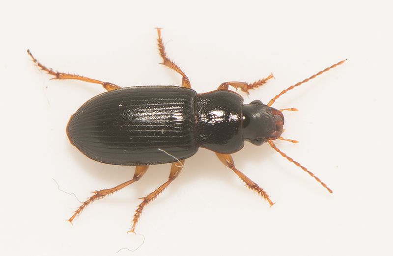 Hjrne Halland 27.4-24