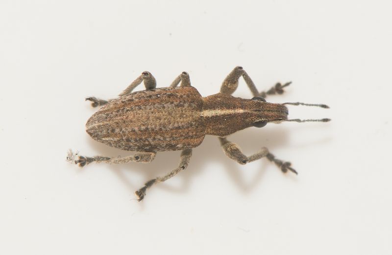 Vapn Halland 21.4-24