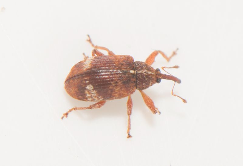 Fyledalen Skne 13.5-24