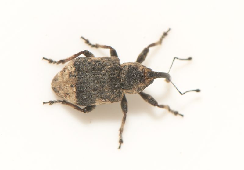 Anneberg Halland 21.5-24