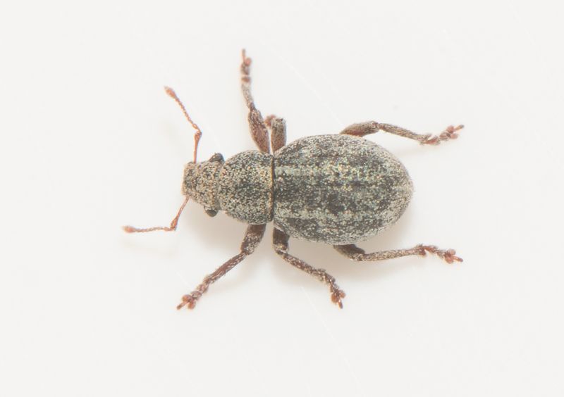 Apelviken Halland 13.6-24