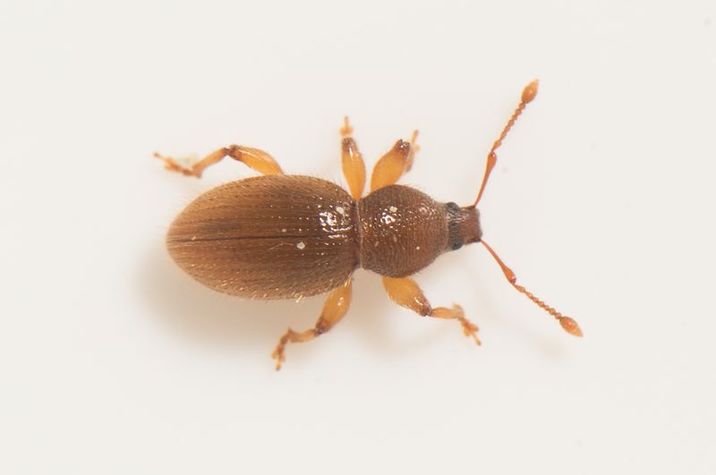 Subbe Halland 10.5-24