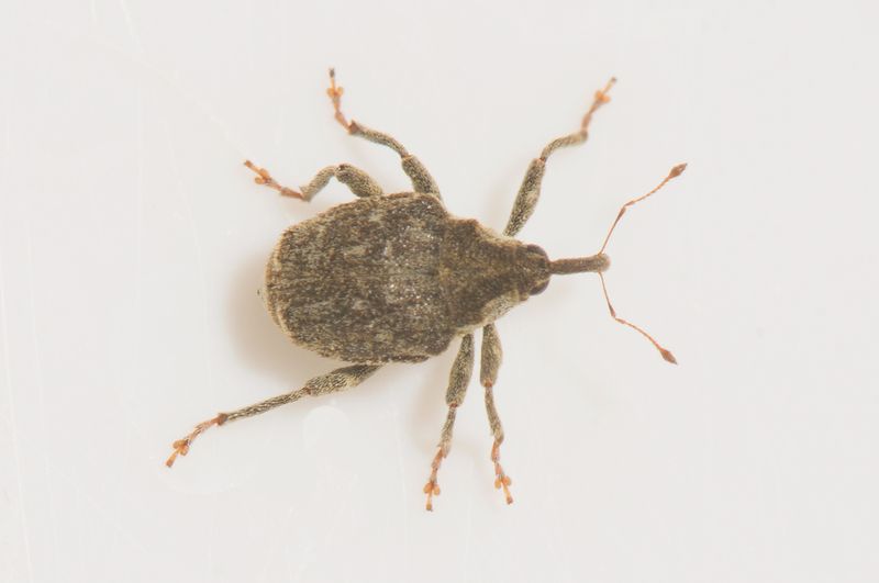 Nackhlle Halland 15.9-24