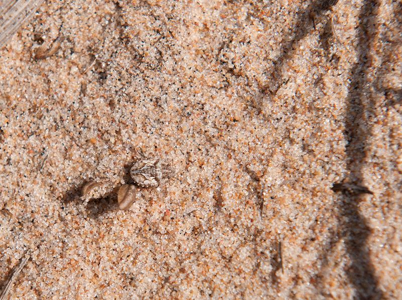 Mellbystrand Halland 15.4-25