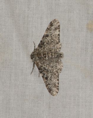 Fjrs brcka Halland 17.6-23