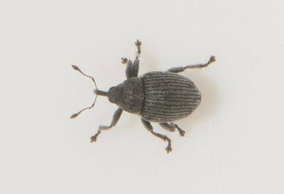 Ljungabackenvgen Blekinge 8.6-24