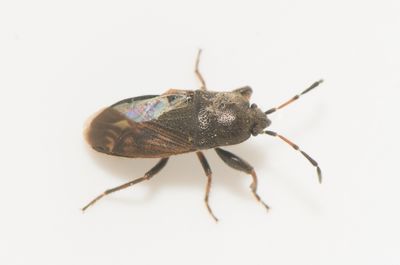 Fyledalen Skne 13.5-24
