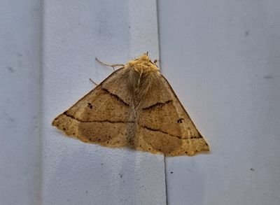Varberg Halland22.7-24