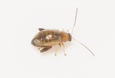 Hamnutfyllnaden Halland 6.7-25 nr 1