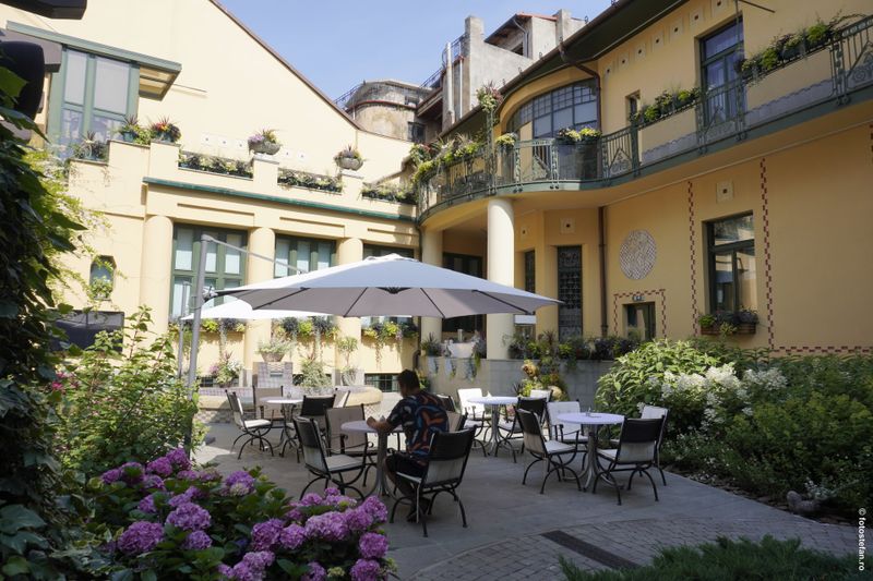 casa-darvas-oradea-curtea.JPG